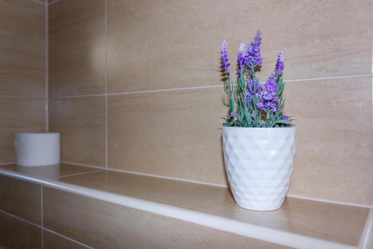 Apartament Dream